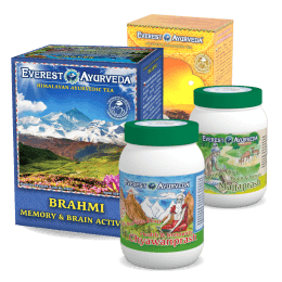 Ayurvedische Therapien